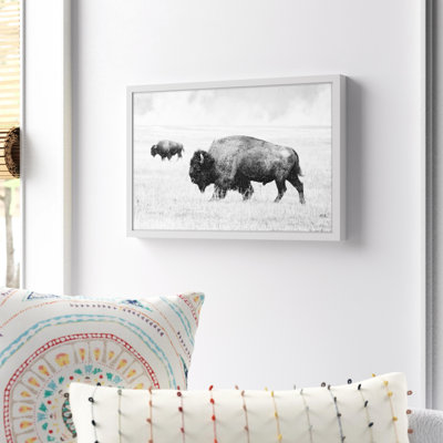 " Buffalo Pair " by Marmont Hill