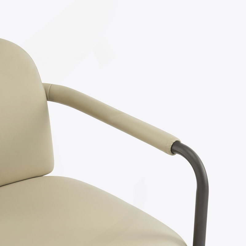 Chaise de salle à manger avec cadre en fer, ensemble de 2 - espresso et kaki, Noir, Kaki