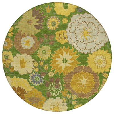 Machine Washable Indoor/Outdoor Emelia ACN2294 Floral Rug