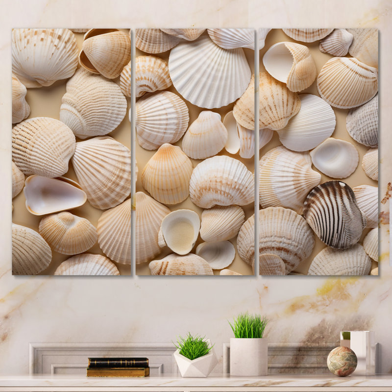 «Beige», reproduction de coquillage sur 3 pièces, H 28 po x l 36 po x P 1 po