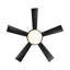 Ceiling Fan with LED Lights