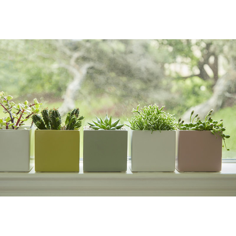 Cube Cache Pot - 4.5" x 3.5" By 