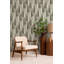Areca Palm - Wallpaper-114676482-152452638