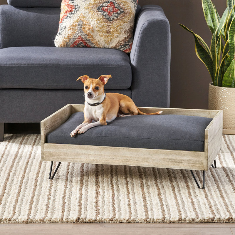Lit pour chien, Blanc