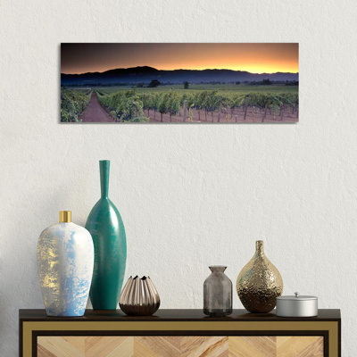 Vineyard Landscape, Napa Valley AVA, Napa County, California, USA- Gallery-Wrapped Canvas Giclée