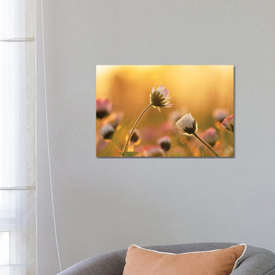 Daisies 1 Piece Wrapped Canvas Wall Art