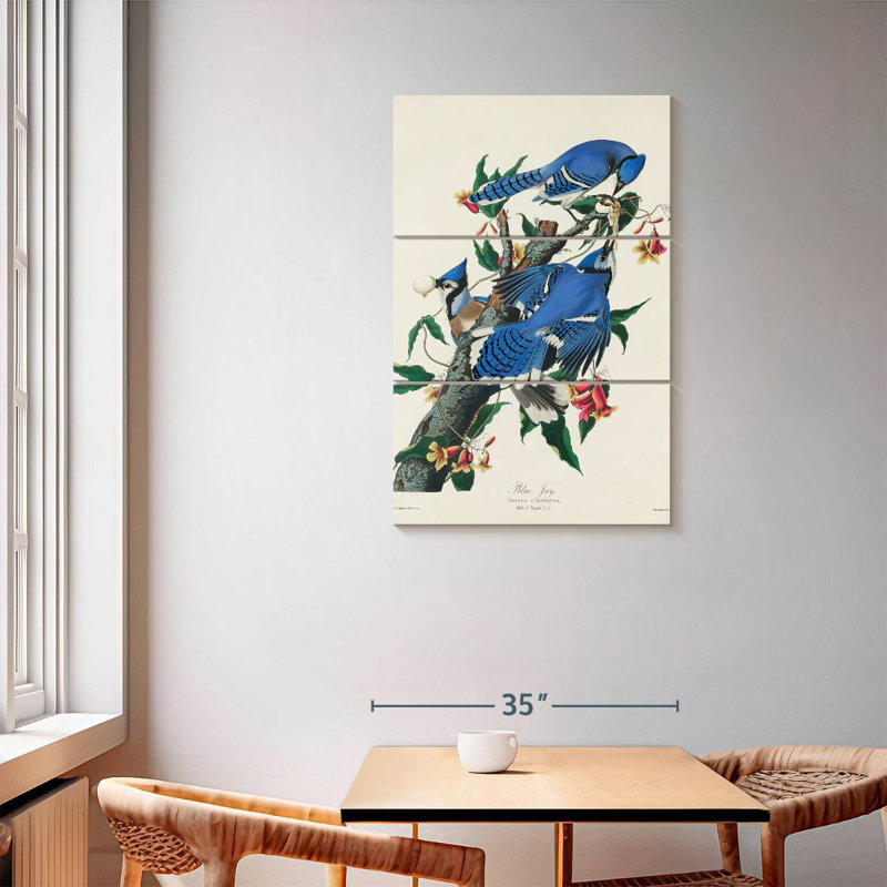 Brampt Blue Jay
