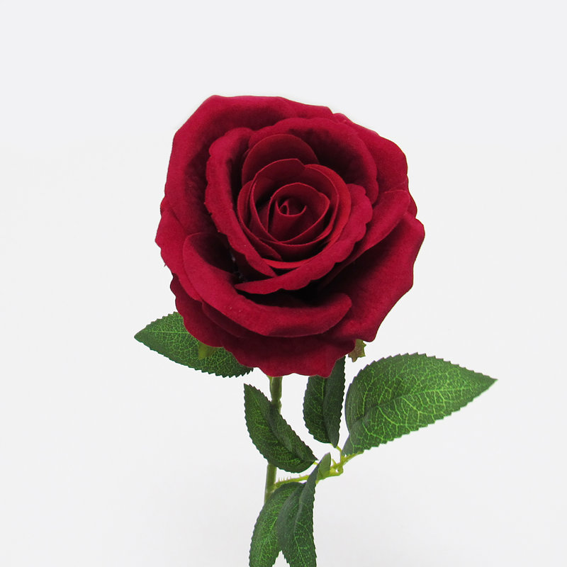 Tige de velours roses, Rouge