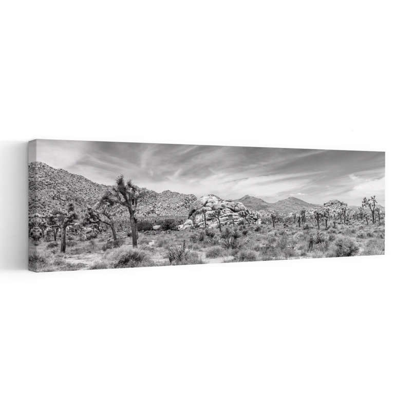 Joshua Tree Desert Panorama by Melanie Viola - Wrapped Canvas Panoramic Print, 40.64 cm H x 121.92 cm W