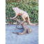 Statue en bronze Mountain Mountain Going Up A Tree Log - Taille: L 42 po x l 65 po x H 69 po.