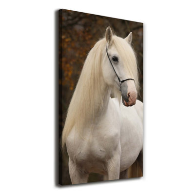 White Horse - Wrapped Canvas Print