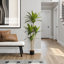 Plante en faux ciment 51,25 po Mcginnis