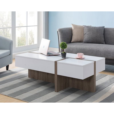 Winon Block Coffee Table with Storage