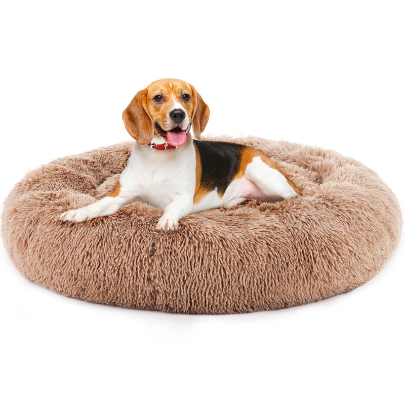 Lit antidérapant pour chat en peluche, H 8 po x l 20 po x P 20 po, Brun