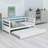 Daybed Frame with Pull-Out Trundle Set-434476255