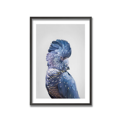 " Black Cockatoo By Kathrin Pienaar " by Kathrin Pienaar