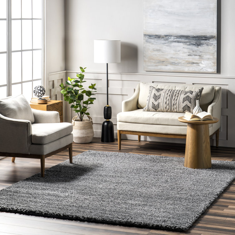 Conye Performance Grey Shag Area Rug