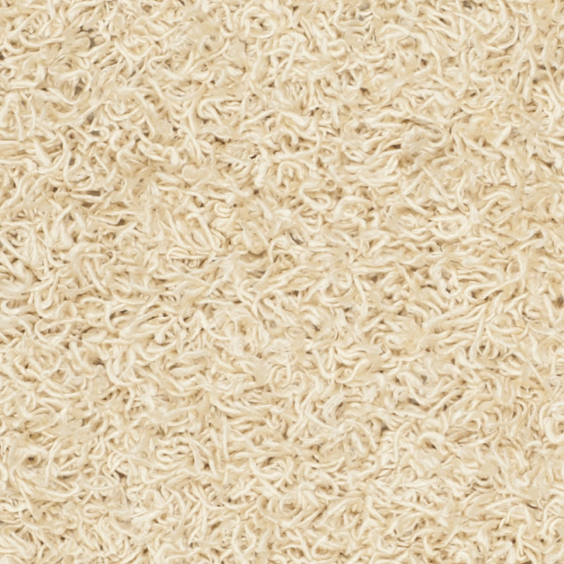 Assar Hand-Tufted Creme Area Rug, Rectangle 3' x 5'