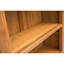 Riegel 120cm H x 70cm W Standard Bookcase