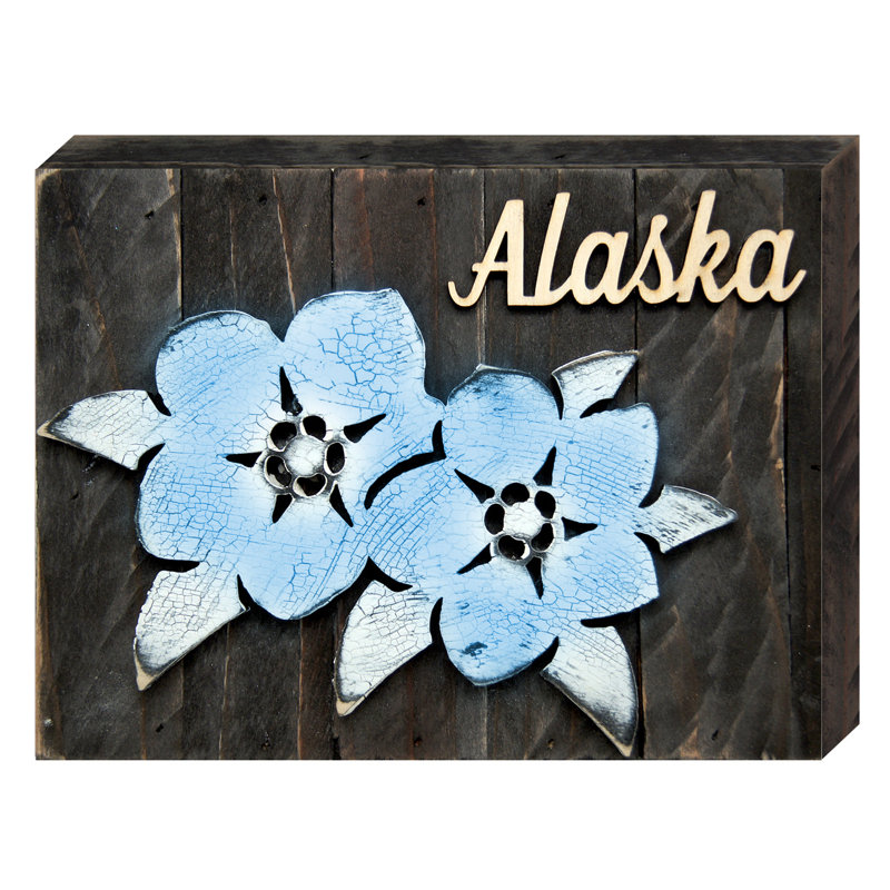 Décoration murale "alaska state" on board, H 9 po x l 12 po x P 1,5 po