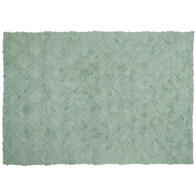 Opelika Rectangle Geometric Hand Woven Area Rug