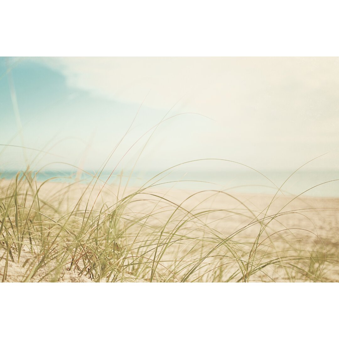 Leinwandbild Beach Grass V Light von Elizabeth Urquhart