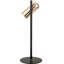 Beverlie Iron Desk Lamp
