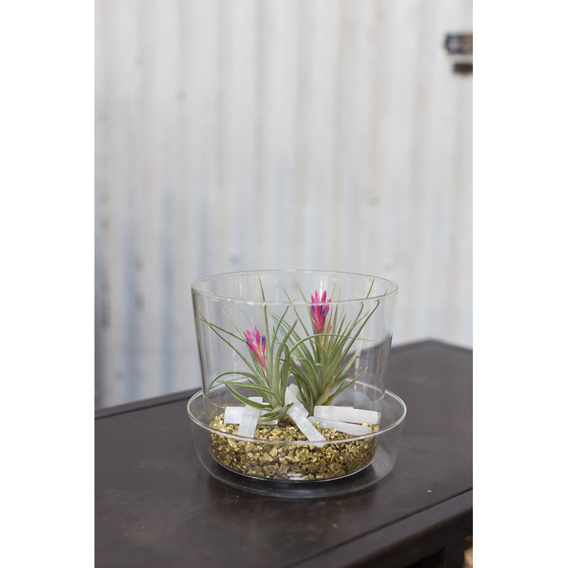 Pot à fleurs Anaveah, H 5 po x l 6,25 po x P 6,25 po