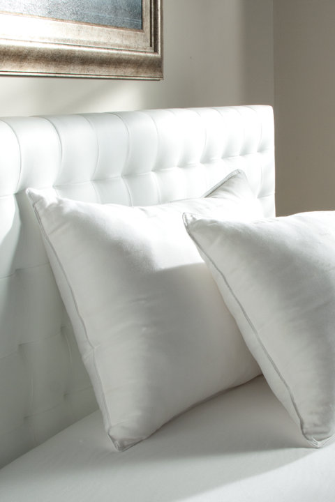 Shop DOWNLITE Pillows