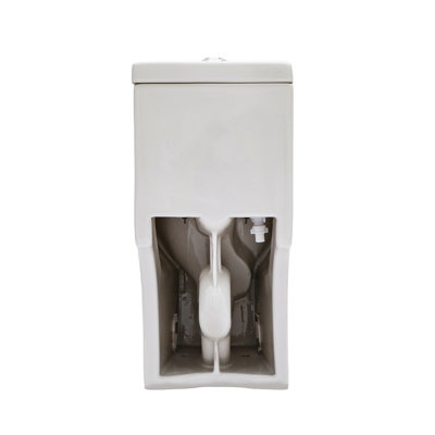 Ceramic One-Piece Toilet with Dual Flush, 12-Inch Rough-In, Soft-Closing Seat, White