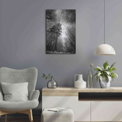 " Cold Vision " Print