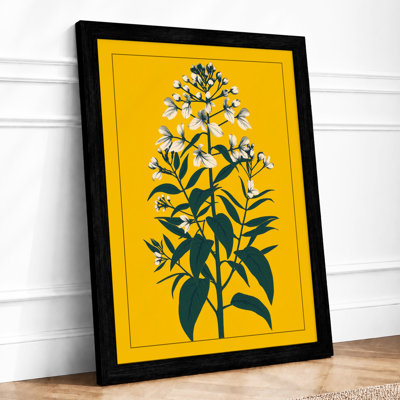 Study Botanical - Framed Print