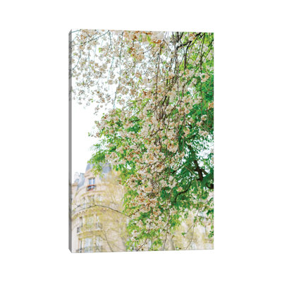 Paris Garden II by Bethany Young - Print on Canvas