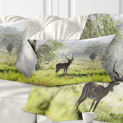 Coussin décoratif solitaire Antilope in Green Park