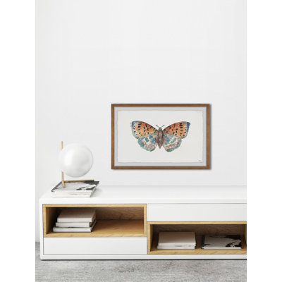 Parvez Taj - Single Picture Frame Print