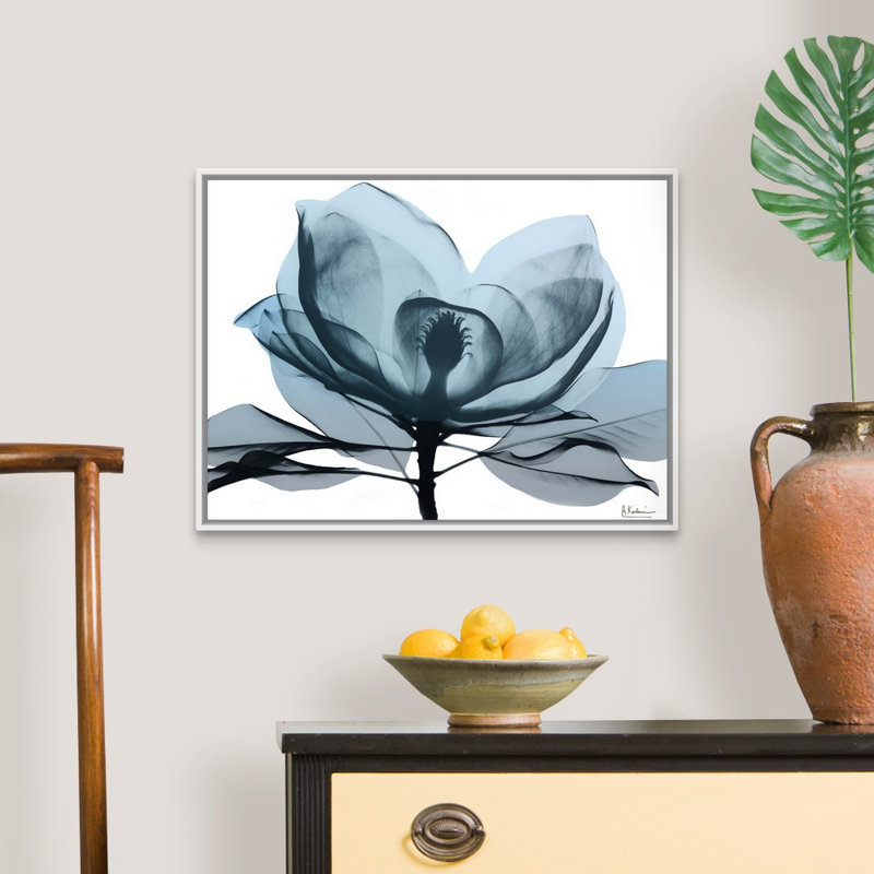 «Midnight Magnolia II» par Albert Koetsier, reproduction sur toile, Cadre blanc, H 20 po x l 26 po x P 1,75 po