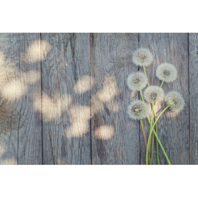 " Dandelion Flowers " by Karandaev