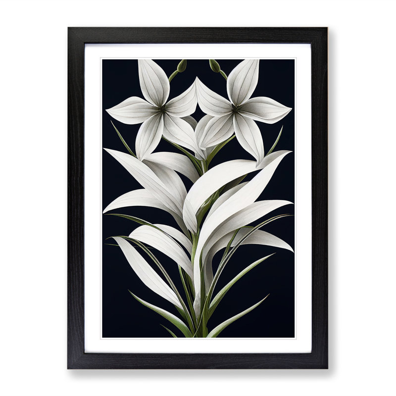 Shining Flowers - Framed Print, 34cm H x 25cm W x 2cm D, Black Framed