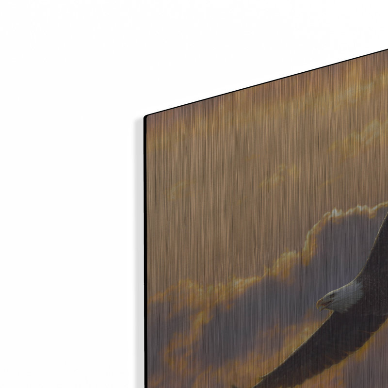 «Soaring Spirit» par Collin Bogle, H 12 po x l 12 po