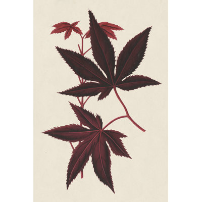 Feuilles d'érable japonaises I