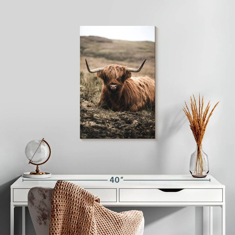 Brampt Still Highland Cow, H 24 po x l 16 po