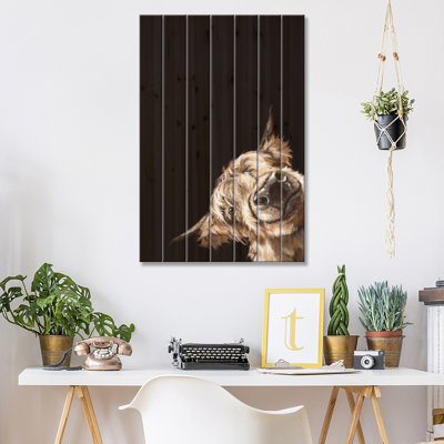 Sneaky Highland Cow en noir