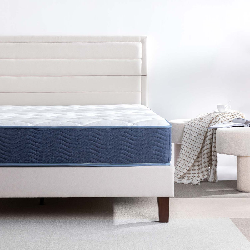 Alwyn Home Alphonzo 9'' Firm Mattress | Wayfair