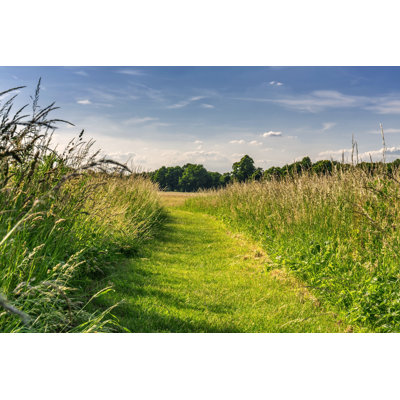 Sentier pédestre dans les landes d'Ultraforma