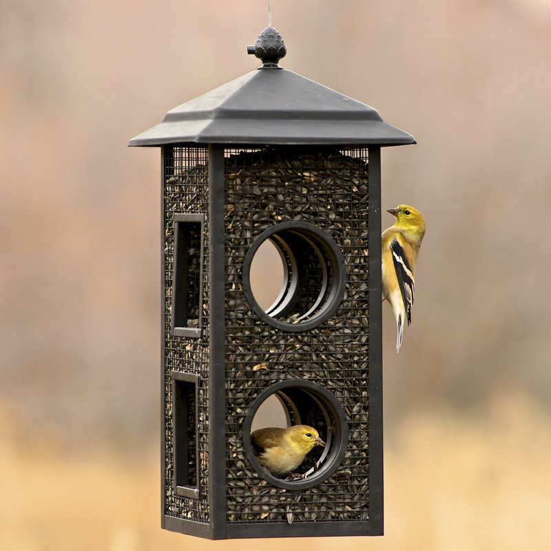 Black Metal Fly-Through Hanging Wild Bird Feeder