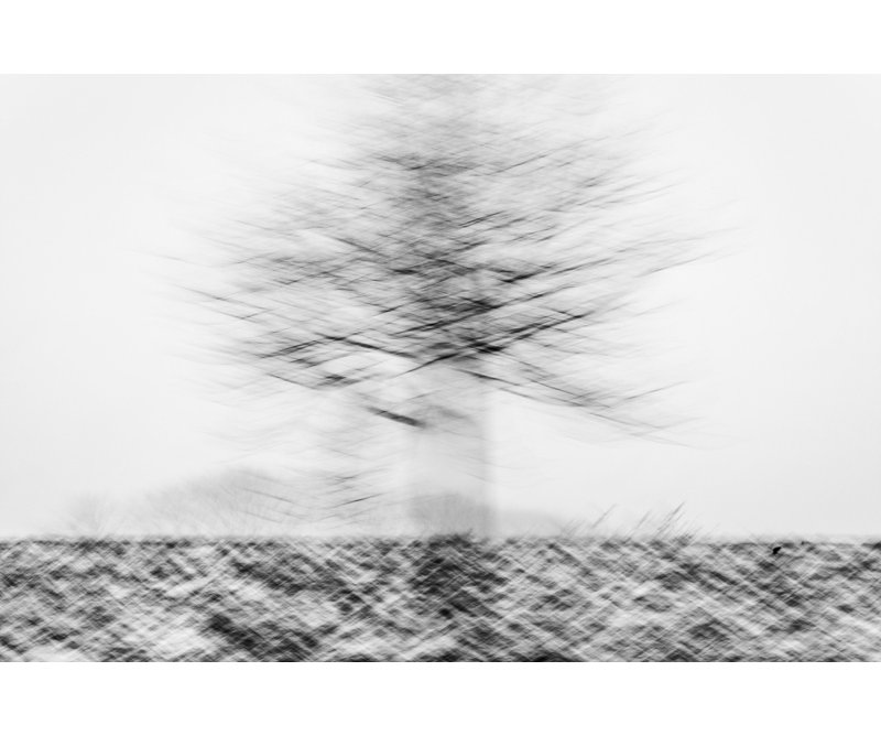 Wrapped Canvas Print, 60.96 cm H x 91.44 cm W