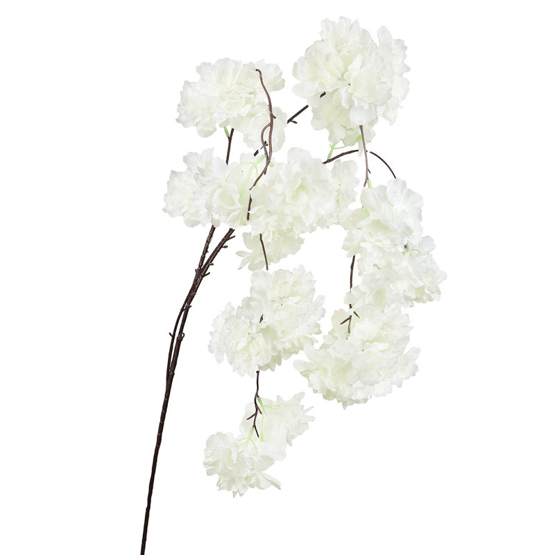 Jet de fleurs de cerisier en cascade, Blanc crème