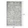 Ragheb Washable Oriental Indoor Rug