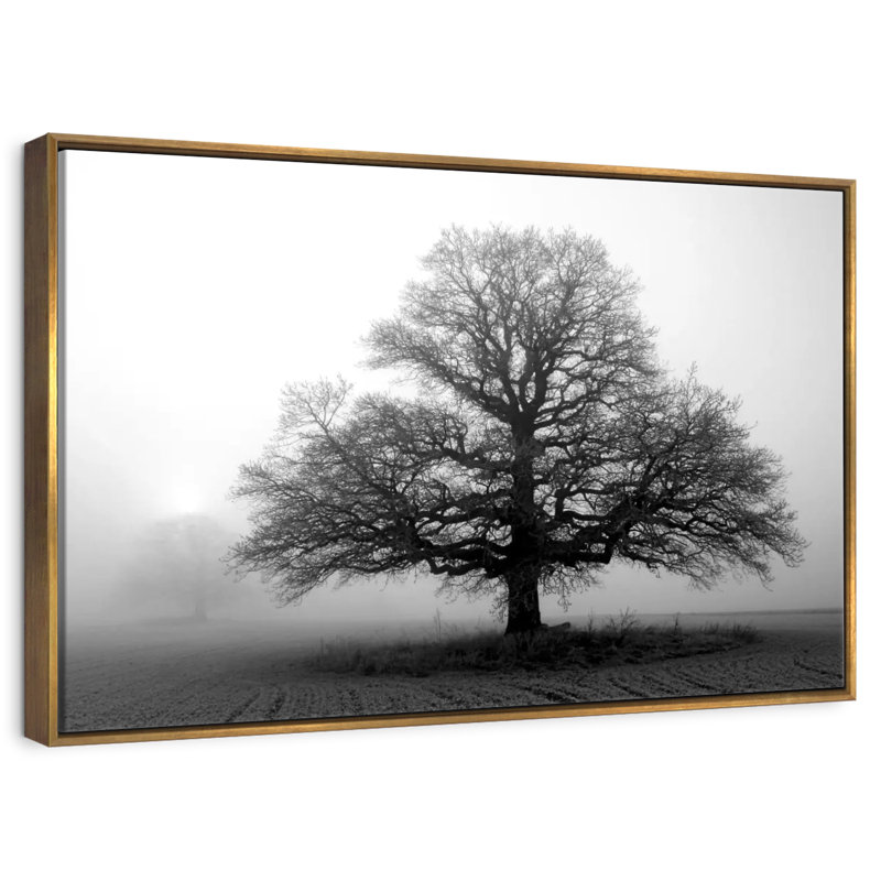 Arbre dans la brume, Cadre flottant doré, 13 po x 9 po