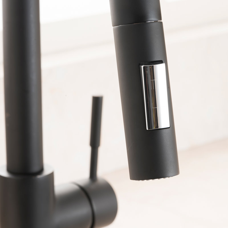 Gemini Single Handle Kitchen Faucet with Side Spray and Accessories, Matte Black